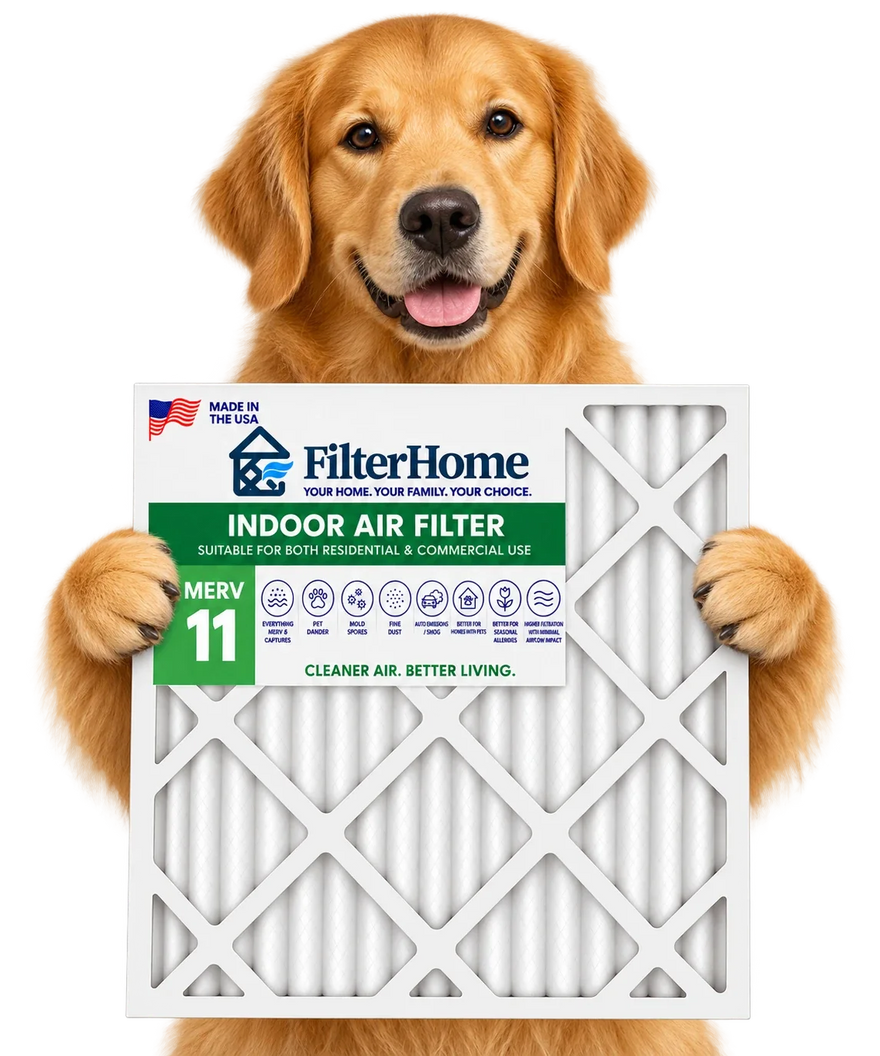 Golden retriever holding a FilterHome MERV 11 air filter