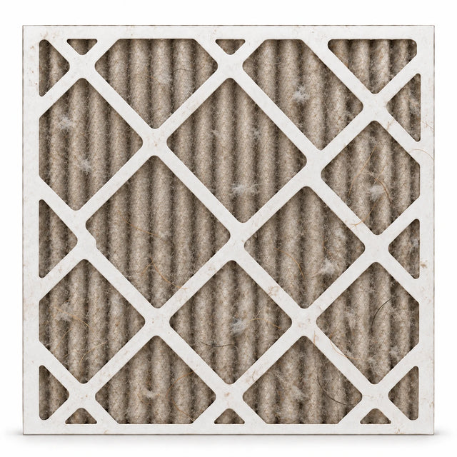 Used air filter clogged with pet hair and dust after about 60 days